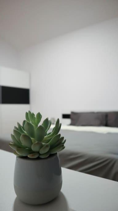 Modern Apartment In The Center Of פראג מראה חיצוני תמונה